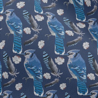 Blue Jay With Beautiful Feathe Chiffon
