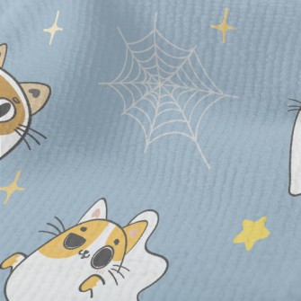 Naughty Kitten Dressed As A Gh Terry