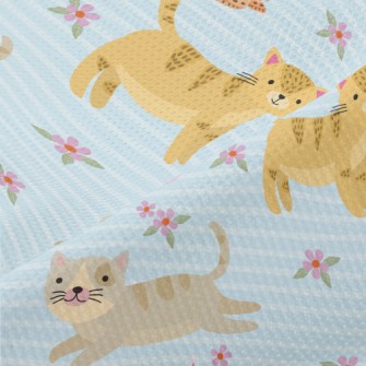 Kittens Chasing Butterflies Piqué