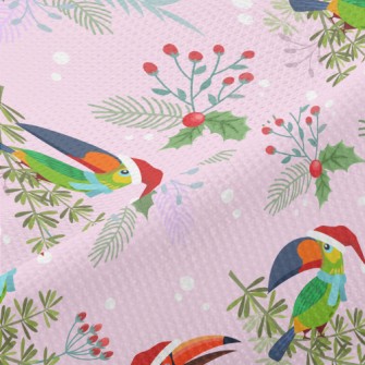 Big-billed Parrot Celebrating  Piqué