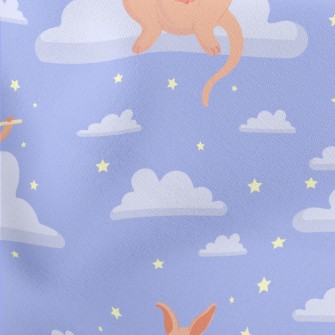 Kangaroo Mother Plays Flute Stretch Ponte