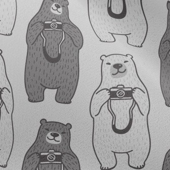 Photography Documenting The Bi Chiffon