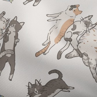 Snatch The Little Fish Cat Dobby