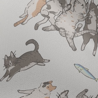 Snatch The Little Fish Cat Chiffon