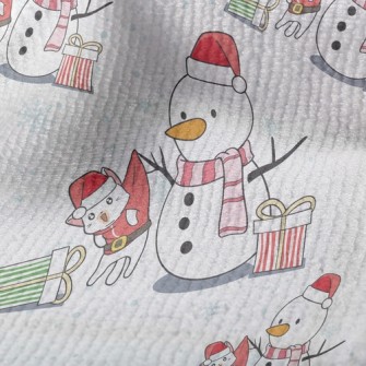 Christmas Snowman Trick Cat Terry