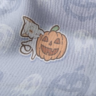 Laughing Pumpkin And Cat Terry