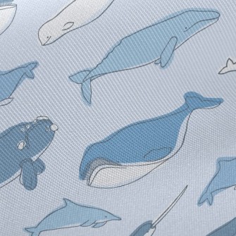 Simple Strokes Of Whale Twill