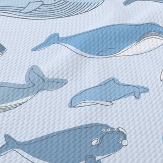 Simple Strokes Of Whale Birdseye Piqué