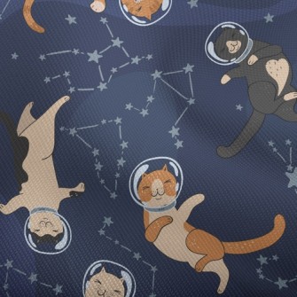 Funny Space Kitten Dobby