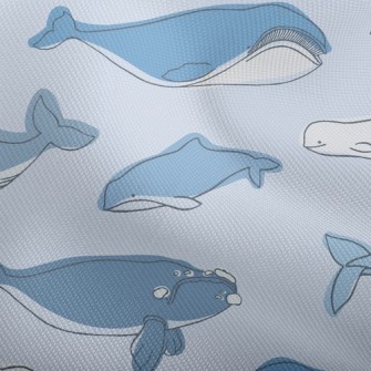 Simple Strokes Of Whale Dobby