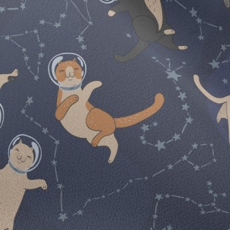 Funny Space Kitten Chiffon