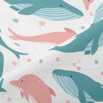Whales And Dolphins Piqué
