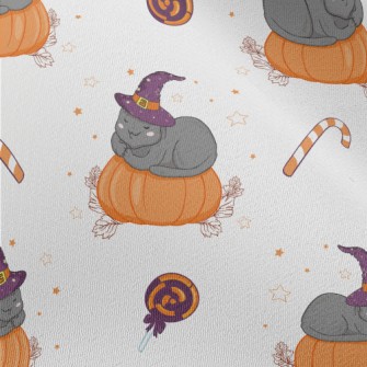 Cat In Witch Hat And Pumpkin Chiffon