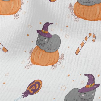 Cat In Witch Hat And Pumpkin Terry