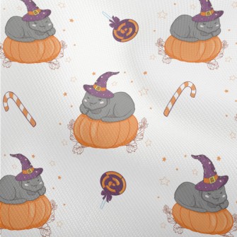 Cat In Witch Hat And Pumpkin Dobby