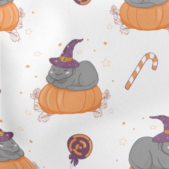 Cat In Witch Hat And Pumpkin Stretch Ponte