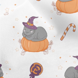 Cat In Witch Hat And Pumpkin Micro Fleece