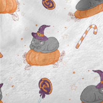 Cat In Witch Hat And Pumpkin Minky