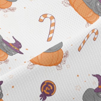 Cat In Witch Hat And Pumpkin Piqué