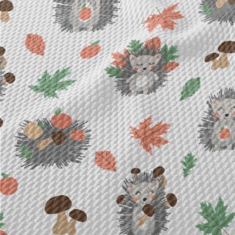 The Little Hedgehog Collects A Birdseye Piqué