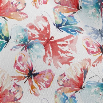 Beautiful Butterfly With Brill Chiffon