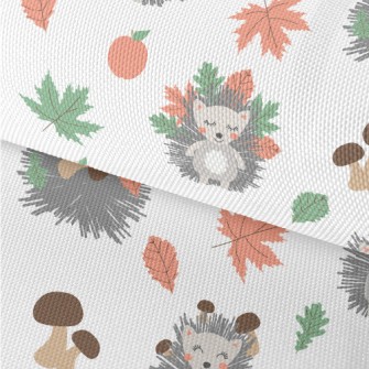 The Little Hedgehog Collects A Waterproof Oxford