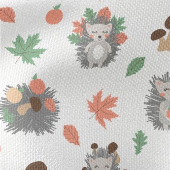 The Little Hedgehog Collects A Waterproof Canvas