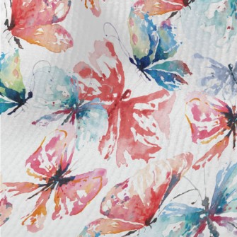 Beautiful Butterfly With Brill Terry