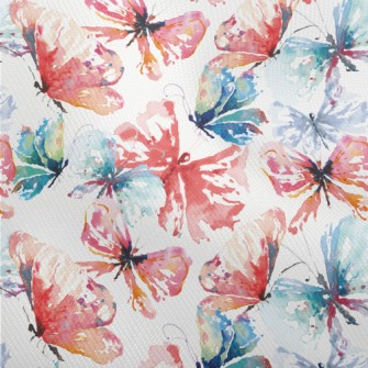 Beautiful Butterfly With Brill Dobby