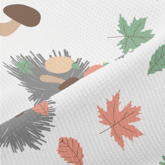 The Little Hedgehog Collects A Piqué