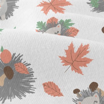 The Little Hedgehog Collects A Modern Jersey