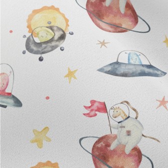 Animal Astronauts Riding A Fly Chiffon