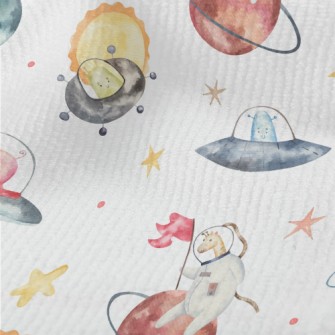 Animal Astronauts Riding A Fly Terry