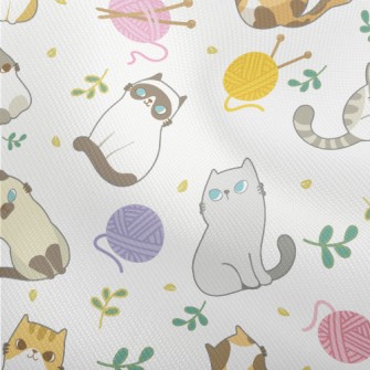 The Kitten Who Became Friends  Dobby