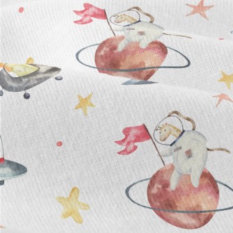 Animal Astronauts Riding A Fly Modern Jersey