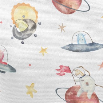 Animal Astronauts Riding A Fly Pongee