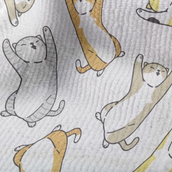 Lazy Tumbling Kitten Terry