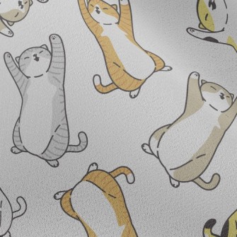 Lazy Tumbling Kitten Chiffon
