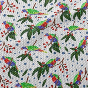 Cartoon Parrot Coloring Birdseye Piqué