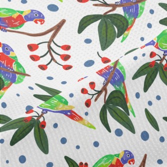 Cartoon Parrot Coloring Piqué