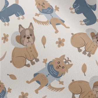 Dog Wearing Warm Clothes Chiffon