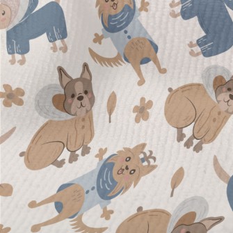 Dog Wearing Warm Clothes Terry