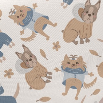 Dog Wearing Warm Clothes Midweight Cotton Poplin