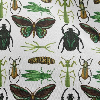 Hand Drawn Insect Illustration Chiffon