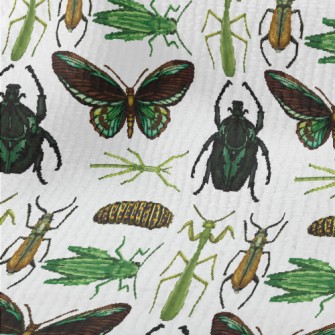 Hand Drawn Insect Illustration Terry
