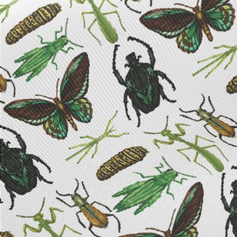 Hand Drawn Insect Illustration Twill