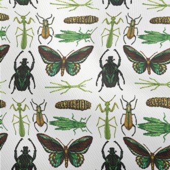 Hand Drawn Insect Illustration Dobby