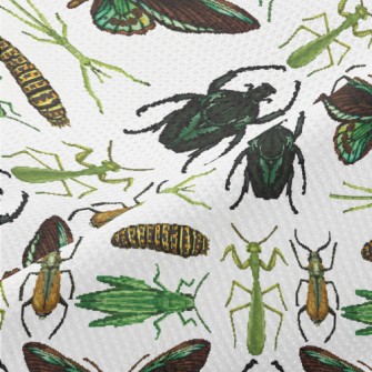 Hand Drawn Insect Illustration Piqué