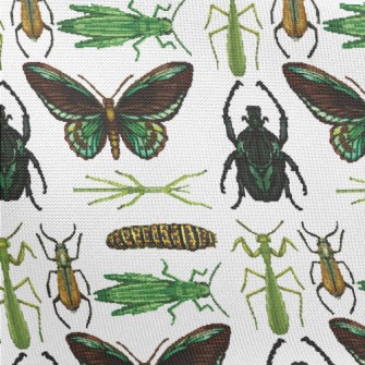 Hand Drawn Insect Illustration Pongee