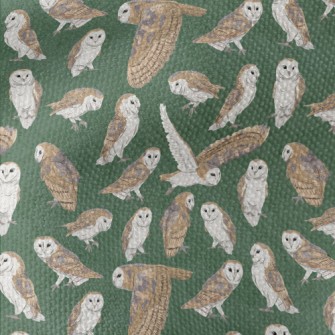 Barn Owl In Different Poses Waterproof Canvas